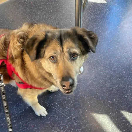 Laghi Di Di Licinia E Mario 公寓