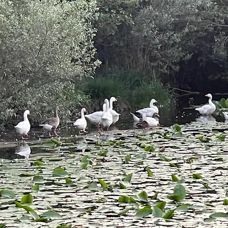 Laghi Di Di Licinia E Mario 公寓