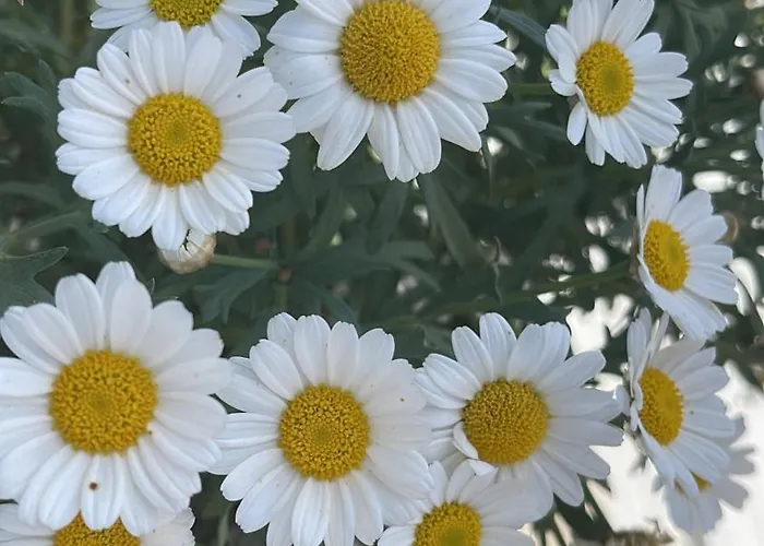 Laghi Di Di Licinia E Mario Apartamento