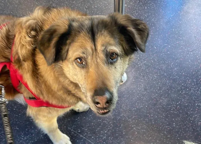 Laghi Di Di Licinia E Mario Apartamento