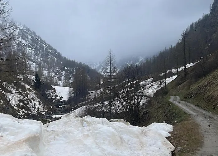 Laghi Di Di Licinia E Mario *