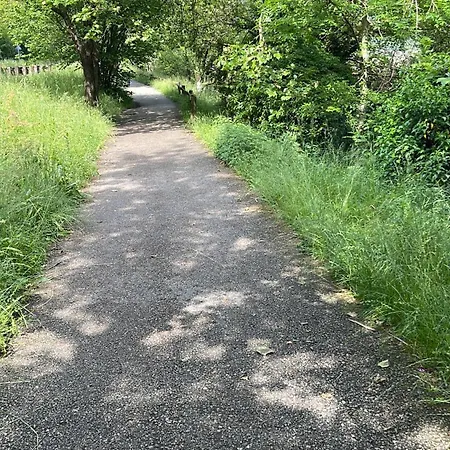 Διαμέρισμα Laghi Di Di Licinia E Mario